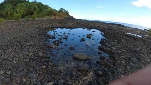 Piscines naturelles à marée basse, Andilana