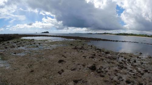 Piscines naturelles à marée basse, Andilana