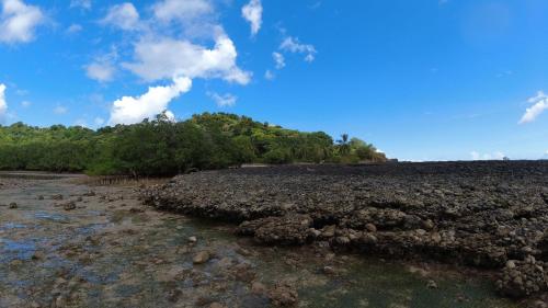 Mangrove à marée basse, Andilana
