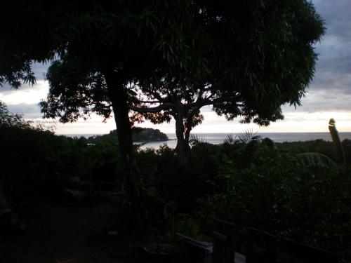 Coucher du soleil, Plantation Mijono