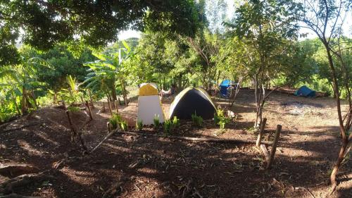 Camping Plantation Mijono