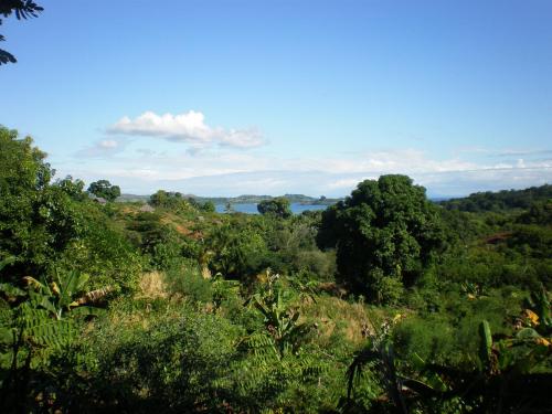 Vue sur mer à partir de la plantation Mijono