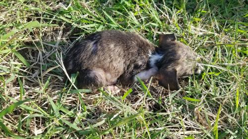 Un peu de soleil pour se réchauffer après le bain