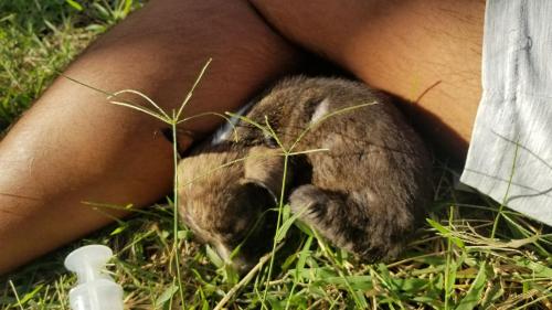 Quand le soleil ne suffit pas, la chaleur corporelle complète