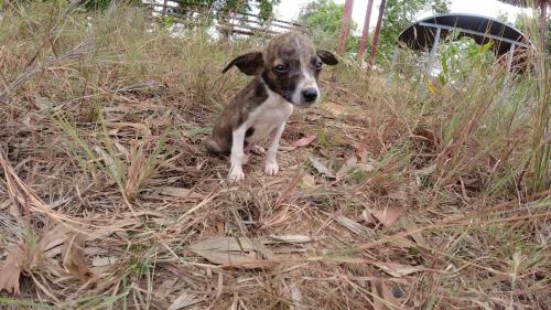 Réveillé, fatigué...