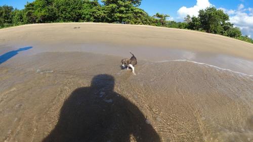 Premier essai marin (baie de Befotaka)