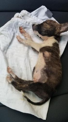 Retrouvé dans les caniveaux