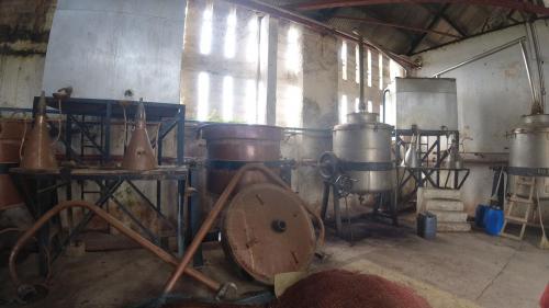 Machines pour fabrication de huile essentielle